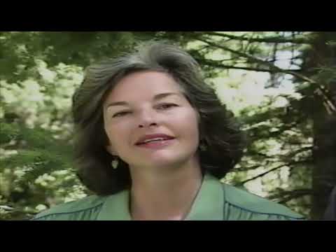 Syringa: Idaho Reflections