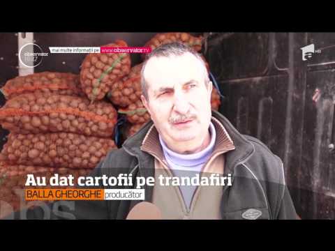 , title : 'Producătorii din Harghita au început să se reorienteze. Unii au înlocuit cartofii cu lavanda'