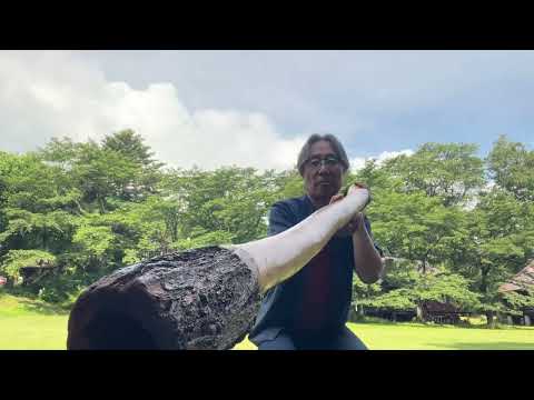 哲学科 2023年夏至の音