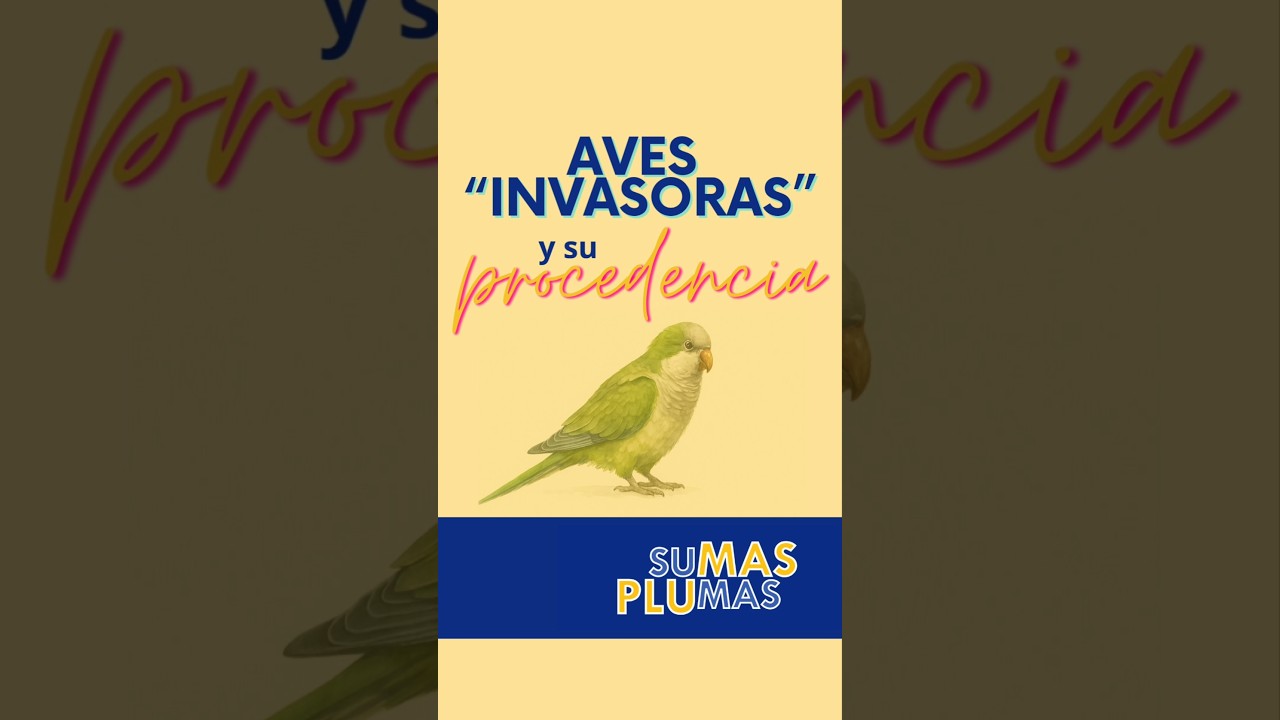 Aves "invasoras"