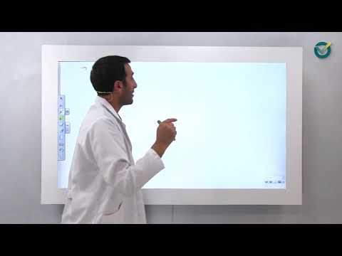 14. 1961 Anayasası, 1982 Anayasasına Giriş