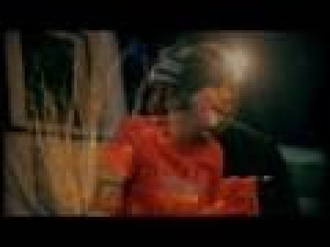 The Fabulous Cats  - Slot Akasia ( Official Video )