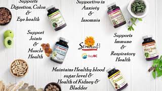 Download the video "Padmashri Naturals Inc. (Sewanti) Company profile"