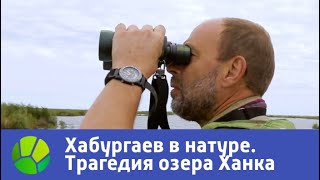 Озера ханка рыбалка