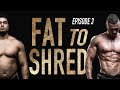 EP.3 FAT TO SHRED - Lost 2,6 KILO in 2 weeks