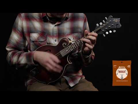 Martin Guitars M400 Mandolin Strings 80/20 Bronze Standard