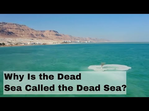 Why Is the Dead Sea Called the Dead Sea