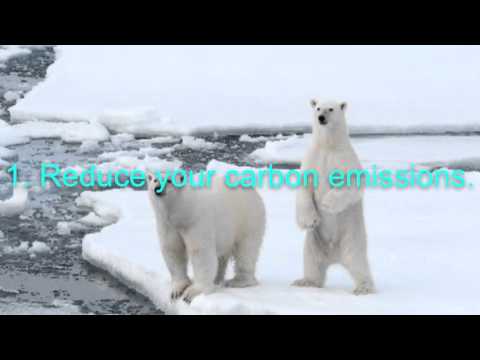 Save the polar bears