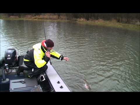 Fox Rage Tiddler Fast Micro 5cm Salt n Pepper