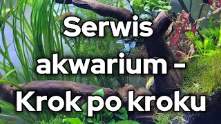 Film dla początkujących - serwis krok po kroku