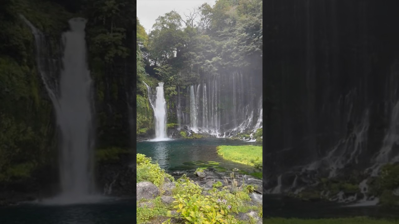 YouTube Short thumbnail