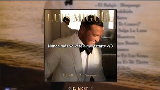 Que Te Vaya Bonito • Luis Miguel | Letra