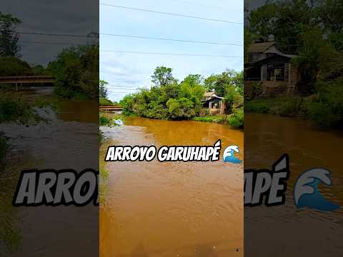 🌊 Arroyo Garuhapé, Misiones, Argentina ♥️🇦🇷. #suscribeteanuestrocanal 🥰.
