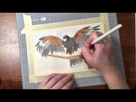 Hawk Watercolor Speedpainting