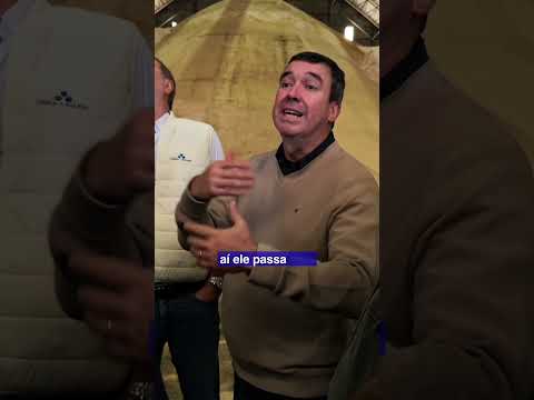 Batayporã: usina