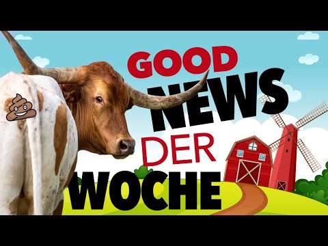 Niederlande zahlt 25 Milliarden, um Nutztierhaltung zu reduzieren | Die Mondschein Show