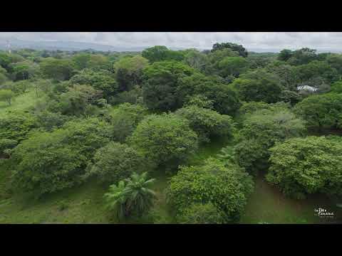 5 Acre Land For Sale in Las Lajas Chiriqui Panama SSS3163