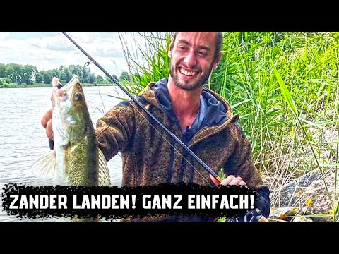[Ein heikles Thema] Mach dabei bloß KEINEN Fehler! Zander Landen - Ganz einfach!