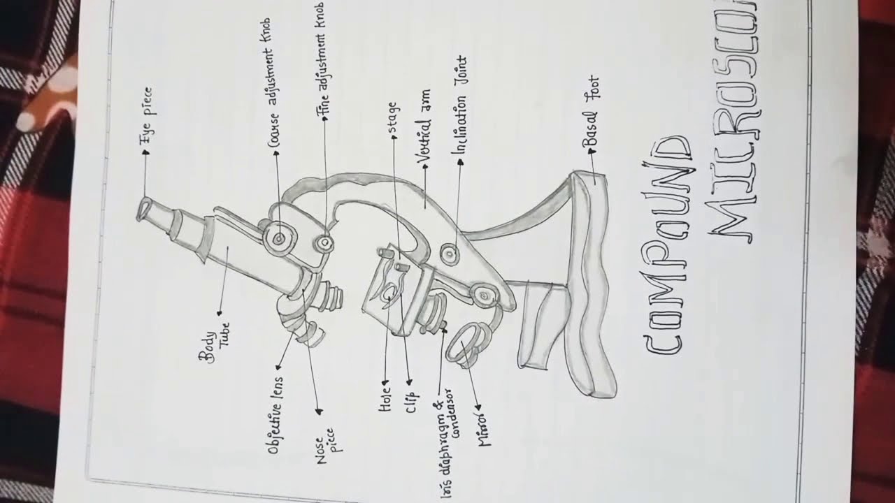 11th class biology practical file