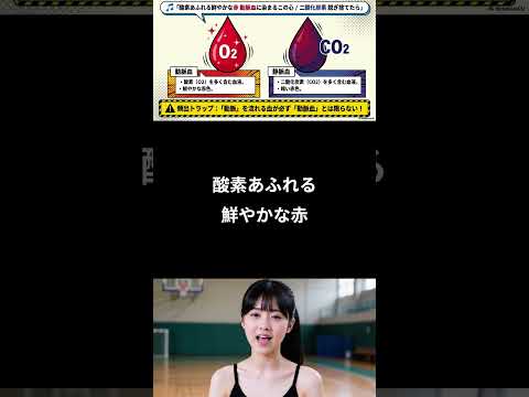 動画教材【暗記ソング】暗記に役立つ動画教材作ります