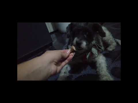 HABILIDADES DE LA COMUNICACIÓN. Lenguaje olfativo y visual. Cortometraje. Johana Luceny Delgado.