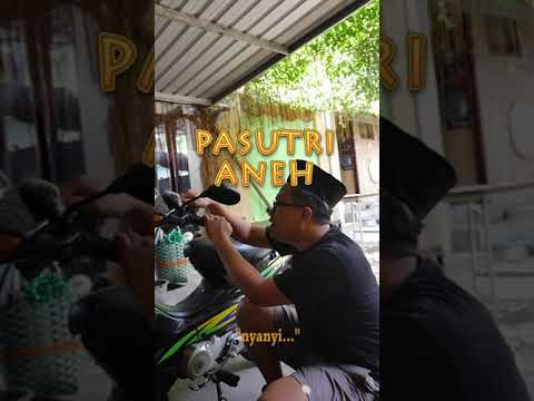pasutri-koplak-ngakak-short-shorts-shortvideo