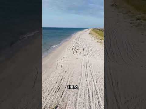 #summer #activity #studyabroad #facts #beach #museum #vacation #denmark #europe