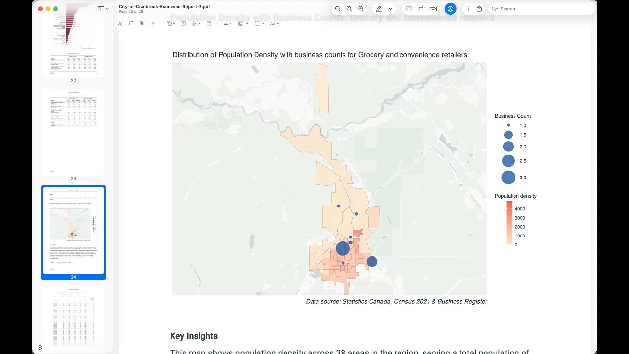 PDF report generated by CityViz Report Studio