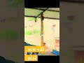Tera Mera Sath Anita Rana Mamta Soni Best Guhrati Lyrical Status