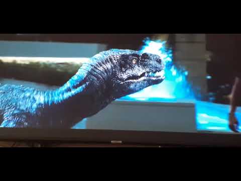 indominos rex belive indomation