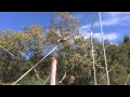 Flying Trapeze Airbag Knee Hang Back Flip Noah