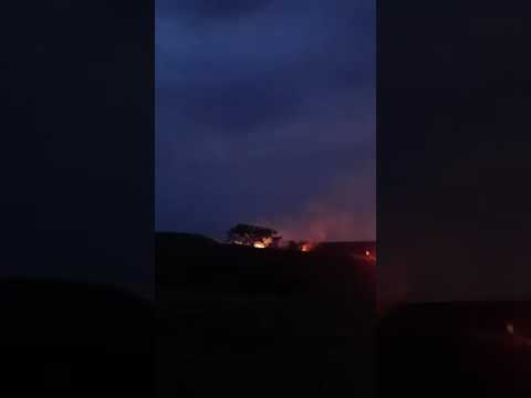 🚨Incendio forestal en Puerto López, Meta ya se encuentra el Cuerpo de Bomberos en el sector