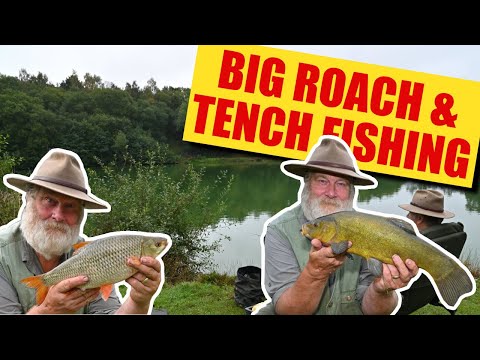Big Roach and Tench Fishing at Packington Fishery