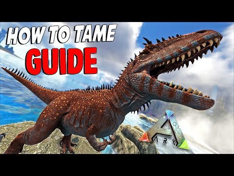 ARK: Carcharodontosaurus | How To Tame on 1x TAMING | GUIDE