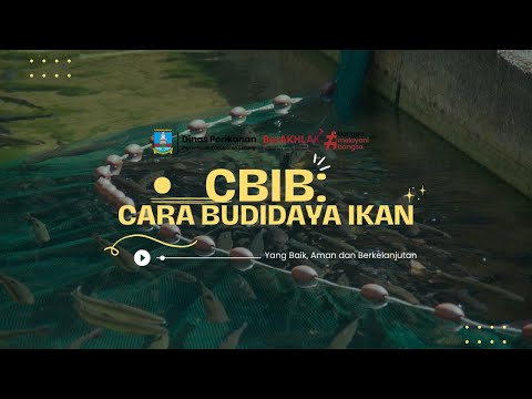 Cbib