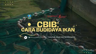 CBIB: Cara Budidaya Ikan yang Baik, Aman & Berkelanjutan