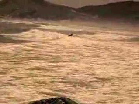 Surf With Your Friends - Soul Brother´s