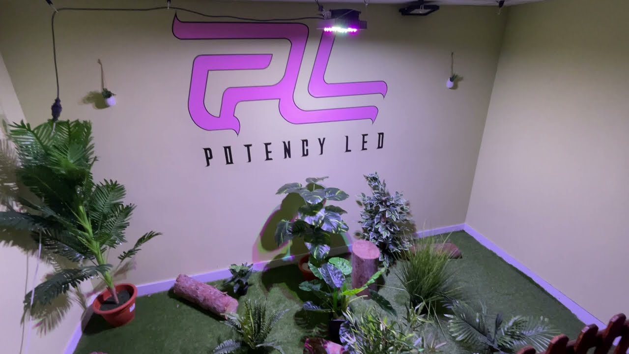 ORIGIN 200W - POTENCYLED