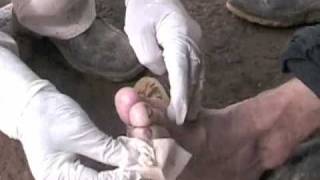 123int - Rubber Boot Rot