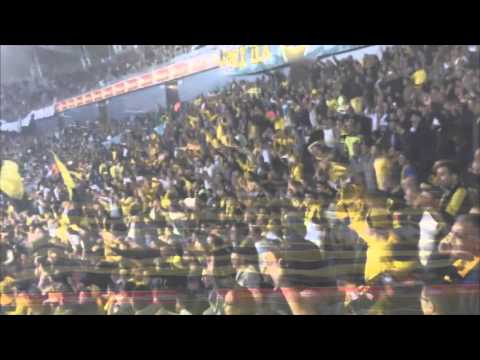 הנה היא עולה(הגזענית)