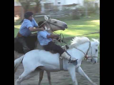 Broche de oro LA CENTELLA en la 4º Fiesta de la Tradición en Crespo Entre Rios