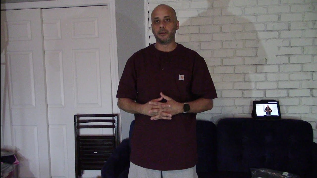 Carhartt henley short sleeve work shirt.