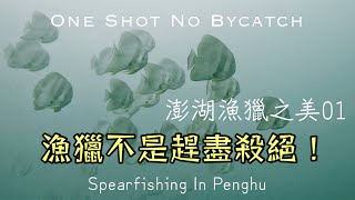 【海野人 Spearfishing 】漁獵不是趕盡殺絕 #自由潛水 #漁獵 #打魚 #夢幻魚 #東星斑  #澎湖 #潛打 #趕海 #紅槽 #龍膽 #紅條 #土魠魚 #石鯛 #老鼠班 #燕魚 #外來種