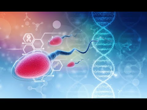 El sorprendente viaje de los espermatozoides - UNAM Global