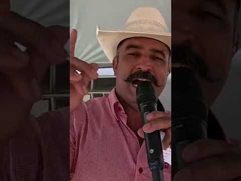 O DESFILE DE CARRO DE BOI DE SAO JOÃO DA MATA !