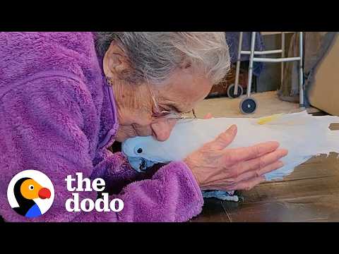 This Parrot Picked A 102-Year-Old Grandma — And We’re Crying | The Dodo