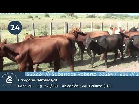 Lote M Y H - Galarza - Entre Ríos