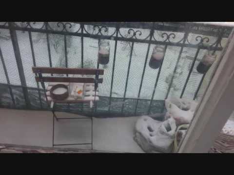 Plachý Host - Plachý host - Zimní