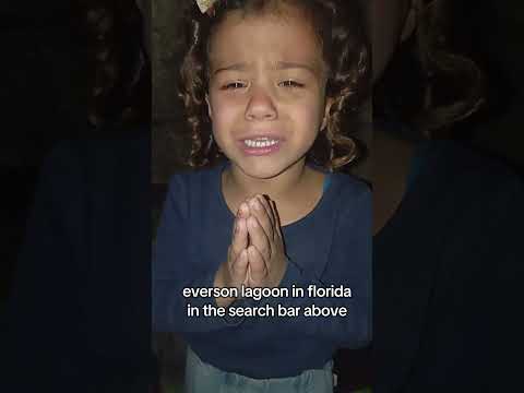 Please help donate link in bio