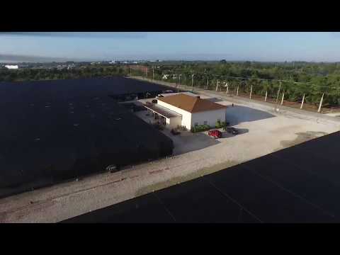 The Best Spring Color Grown In The World